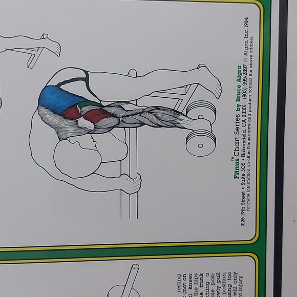 1984 Vintage Bruce Algra Back Workout Fitness Chart Series  - 16" × 11" - Picture 2 of 4
